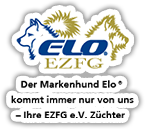 ELO EZFG Mitglied