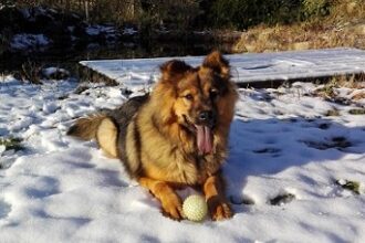Vanja_20181128_142623 kleiner